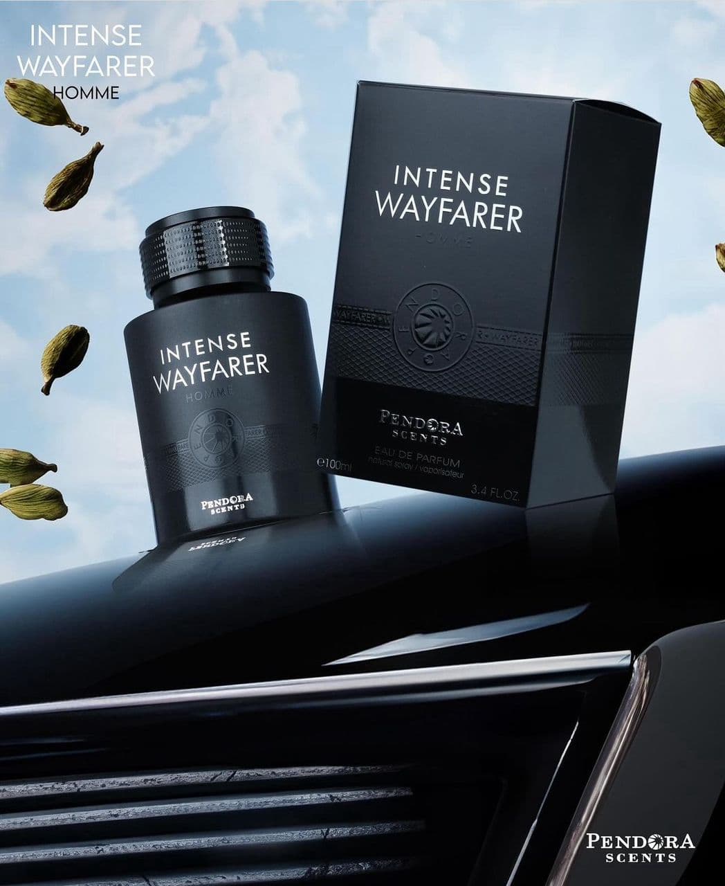 Intense wayfarer