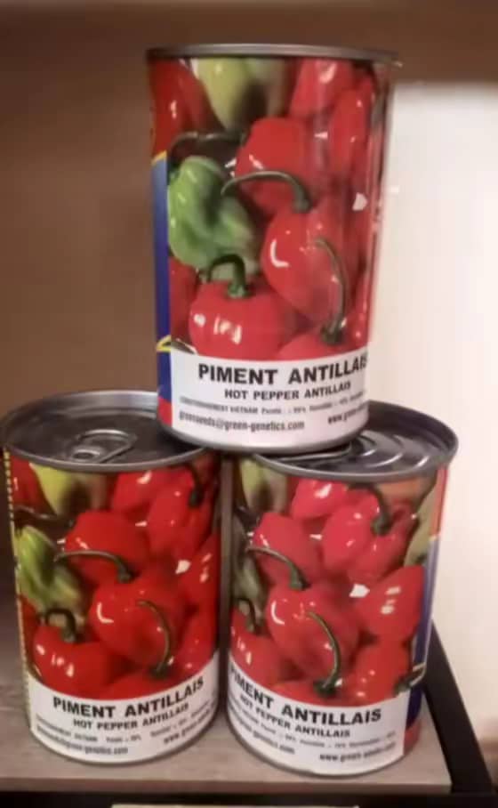 Piment antillais