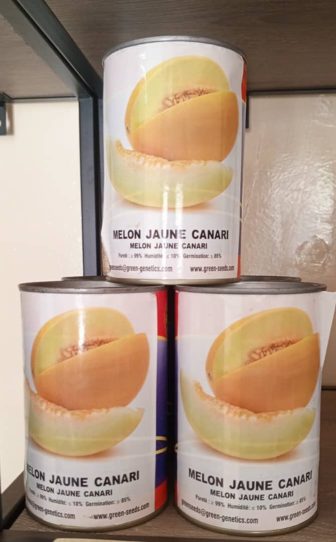 Melon jaune